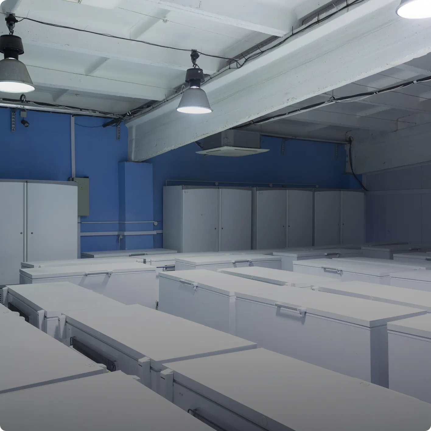 HEPA-filtered clean rooms for packing and storage